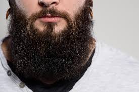 I dislike my facial hair, it grows too damn quick. Poll Beard Or No Beard For Men