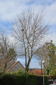 Start by marking l'été sera chaud as want to read L Ete Sera Chaud Et Sec Reflections Et Images