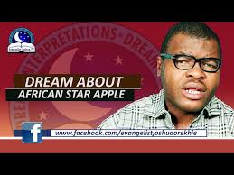 Dream About African Star Apple