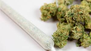 También en noviembre de 2020, el senado de méxico aprobó con 82 votos a favor, 18 en contra y 7 abstenciones, el dictamen que regula el uso y consumo de la marihuana, así como la producción con fines médicos, lúdicos e industriales. Seleccion Forbes 2020 Legalizacion De La Mariguana Un Gran Negocio Para Mexico