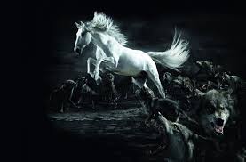 Black And White Horse Images Hd White Horse 3d Black Wallpaper Wallpapersxplore Free Hd Desktop Wallpapers Horse Wallpaper Horses Animals