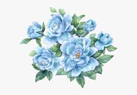 3000 x 2391 5 1 transparent watercolor flower background clipart. Transparent Background Blue Flower Png Png Download Transparent Png Image Pngitem