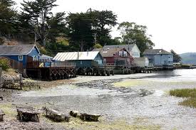 We did not find results for: Hog Island Oyster Farm Marshall Gastronomy