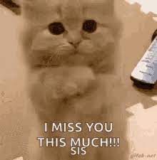 I Miss My Sister Gifs Tenor