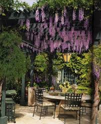 Pergola Uber Die Terrasse Und Mit Wein Bepflanzen Schatten Garten Design Gartengestaltung Pergola Bauen