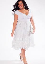 Plus Size Hawaiian Wedding Dresses Plus Size Wedding Gowns Lace Tea Length Dress Short Wedding Dress