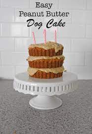 Bake in preheated oven for 40 minutes. Peanut Butter Dog Cake Recipe Online Shopping