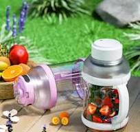 Wholesale Electric USB Fresh Orange Juicer Large 2L Blender Smoothies  Commercial Handle Portable Blenders Outdoor Use Juicers
