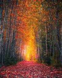 Here are only the best 1920x1080 blue wallpapers. Fall Walks Along The Eklutna Tailrace In Alaska 1080x1350 Oc Nature Photography Fall Landscape Photography Nature Photography Landscape Photography Nature