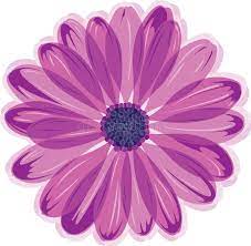 Pin On Images