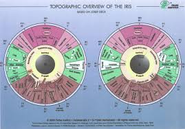 Eye Body Chart Iriscope Iridology Camera Iriscope