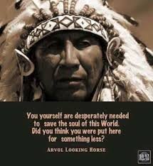 American indian quotes, Native american quotes, Native american quotes  wisdom
