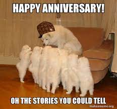 Happy Anniversary Oh The Stories You Could Tell Scumbag Storytelling Dog Make A Meme