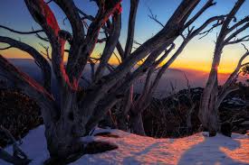 Just like queensland, winter in australia is one of the optimum times to visit the tropical top end of australia, with dry, sunny days and less humidity than the aussie summer (december to february). Winter Photography Tour Mount Buffalo We Are Raw Photography