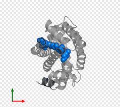 Desain logo sesuai permintaan clien yakni calligraphy raudhotul. Logo Font Desain Logo Majelis Png Pngegg