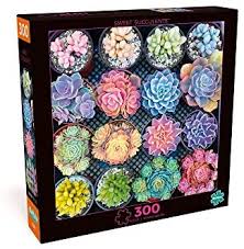 Maybe you would like to learn more about one of these? Buffalo Games Sweet Succulents 300 Large Piece Jigsaw Puzzle Multicolor 18 L X 18 W Buy Online At Best Price In Uae Amazon Ae