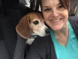 dog found running around nenagh at the shoe corner running in the middle of  the road