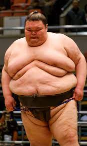 L'historien edouard husson commente la célébration du jour de la victoire qui se tient le 9 mai en russie. Tout Savoir Sur Le Sumo Jonathan B Roy