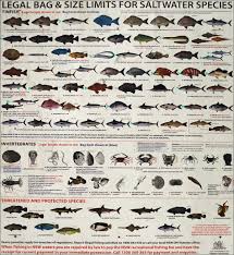 Saltwater Fish Limits Saltwater Fish Bag Size Limits At