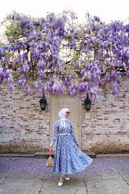 Wisteria Hysteria In Dc Floral Shirtdress A Day In The Lalz Midi Dress With Sleeves Shirt Dress Floral