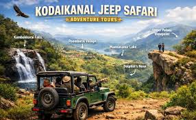 Adventure off-road driving forest track