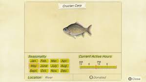 Nintendo Switch - Animal Crossing: New Horizons - Crucian Carp - The Models  Resource