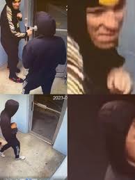 18 year old charged in Tivoli vandalism, affidavit reveals