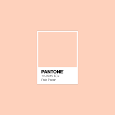 Palepeach Pantone Luxurydotcom Pantone Color Pantone Colour Palettes Peach Paint Colors