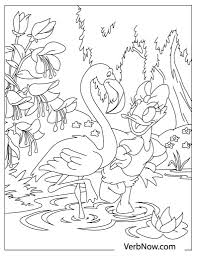 New users enjoy 60% off. Free Flamingo Coloring Pages For Download Pdf Verbnow