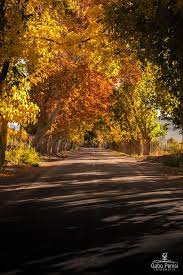 Octubre 2013 catálogos descubre lo último de la moda en argentina en el nuevo catálogo dafiti otoño/invierno 2013, en. Otono En San Juan Argentina World Argentina Country Roads