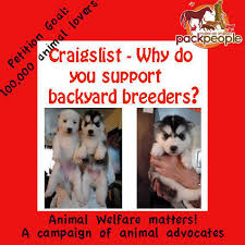 Backyard breeders, on the other hand, usually just view pedigrees as proof that the dog is purebred. Petition Craigslist We Don T Want To Support Backyard Breeders Change Org