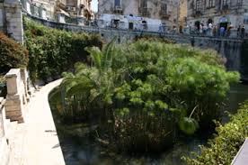 9 locali, fonte aretusa, siracusa. Turismo A Siracusa Algila Antico Hotel Roma