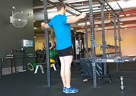 Develop Your Rear Shoulders With Band Resisted Reverse Flyes Michael Hermann