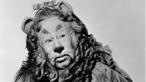 Become a members and give the animals a forever home. Lions And Tigers And Bears Oh My Wfmt
