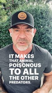 3 butterfly lessons for men