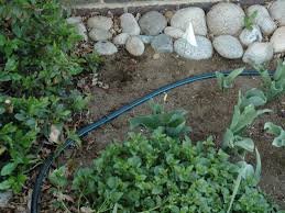 Maybe you would like to learn more about one of these? How To Install A Drip Irrigation System How Tos Diy