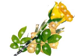 صور ورود متحركه صور ورود لامعه بالجليتر متحركه plant leaves media images flowers