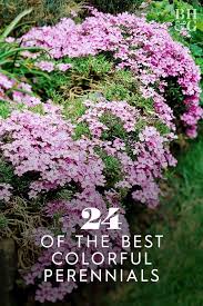Landscaping Season Perennial Garden 4 Season Perennial Garden Mn Perennial In 2020 Stauden Pflanzen Garten
