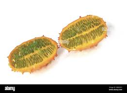 Image result for Cucumis metuliferus