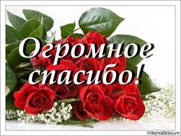 Результат пошуку зображень за запитом картинки спасибо