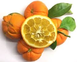 Горький апельсин, апельсин и бергамот; Bigarade