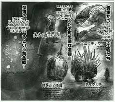 Compared to all the deeper parts of the abyss, the first layer is the only section that is considered to be relatively safe. Made In Abyss Crash Course