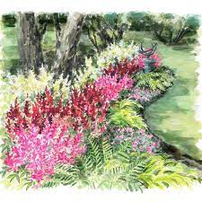 Here is a collection of the most handsome and fragrant of them, with at least a few. Tough As Nails Deer Resistant Garden For Shade White Flower Farm