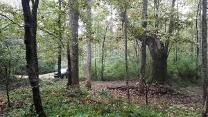 as the wagon trail and path...