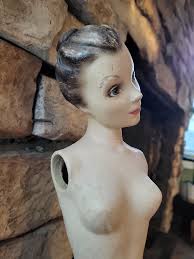 Picked up this beautiful piece at the Oddities and Curiosities Expo