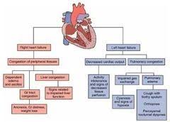 Left Sided Heart Failure Diagram Health Pictures Left Sided Heart Failure Nursing School Survival Heart Failure Nursing