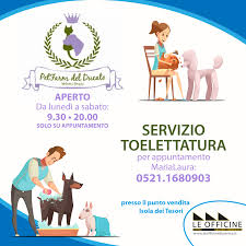 Le Officine Di Parma 706 Photos Veterinarian Via Marco Aurelio Cavedagni 5 A 43126 Parma Emilia Romagna Italy