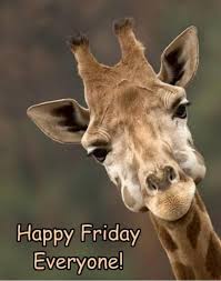 Happy Friday Everyone.. have a great weekend!.. 😊❤️