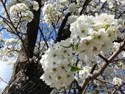 Expect to see more nature pictures from me! Does It Like Totally Smell Like Semen Outside Or Is That Just Me