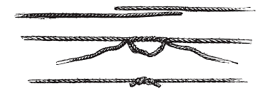 The Best Fishing Knots Of All Time Ranked Strongest To Weakest